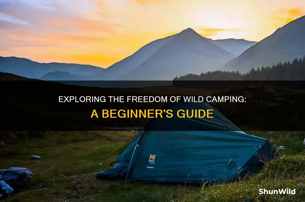 what is wild camping