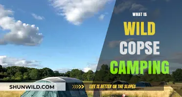 Exploring the Untamed Beauty of Wild Copse Camping