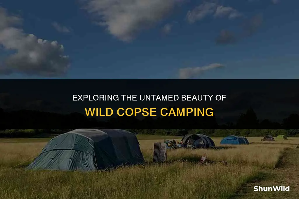what is wild copse camping