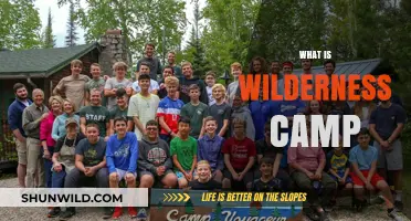 Exploring Wilderness Camp: Adventure, Nature, and Personal Growth Explained