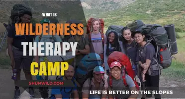 Exploring the Great Outdoors: A Guide to Wilderness Therapy Camps