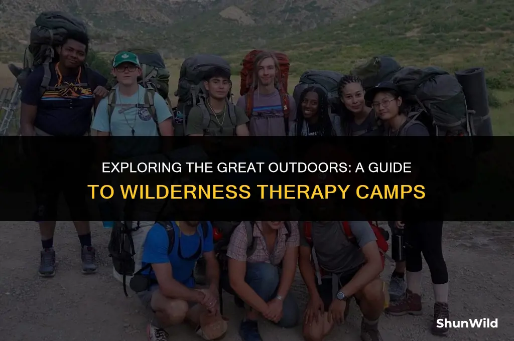 what is wilderness therapy camp