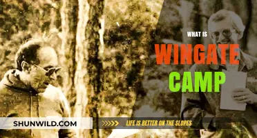 Exploring Wingate Camp: A Comprehensive Guide to Its History and Purpose