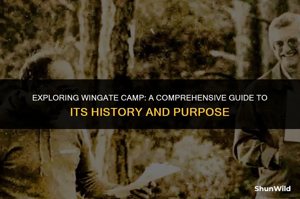 what is wingate camp