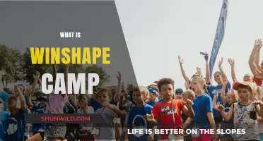 Exploring the Transformative Journey at WinShape Camp
