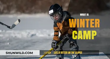 Exploring the Magic of Winter Camps: A Comprehensive Guide