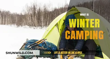 Embracing the Chill: A Beginner's Guide to Winter Camping
