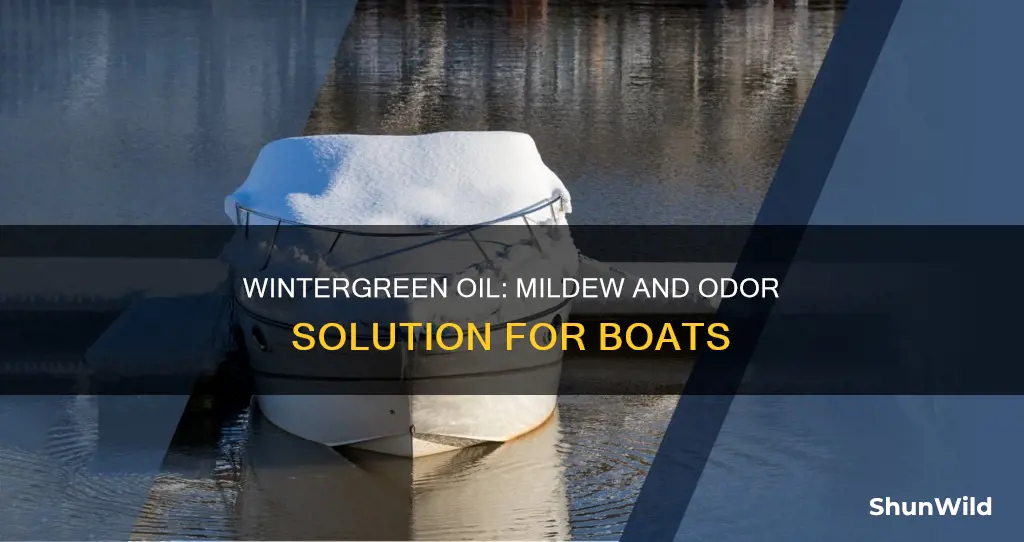 what is wintergreen oil good for boat mildew and order