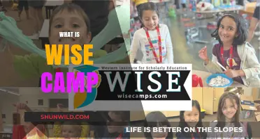 Discovering Wise Camp: A Transformative Learning Adventure for Youth