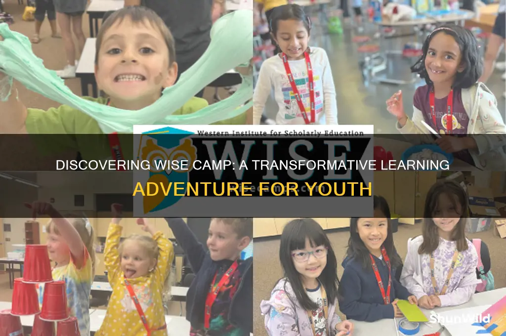 what is wise camp