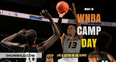 Exploring the Excitement: What is WNBA Camp Day?