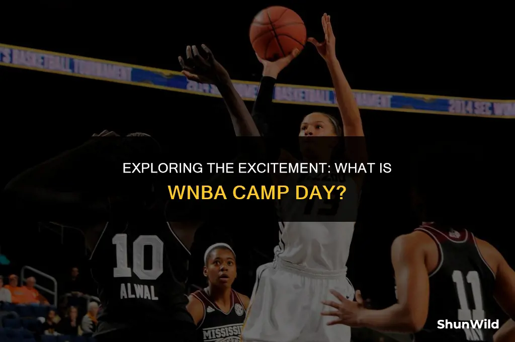 what is wnba camp day