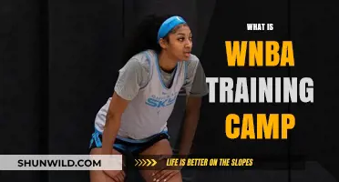 Exploring the World of WNBA: Inside the Training Camp