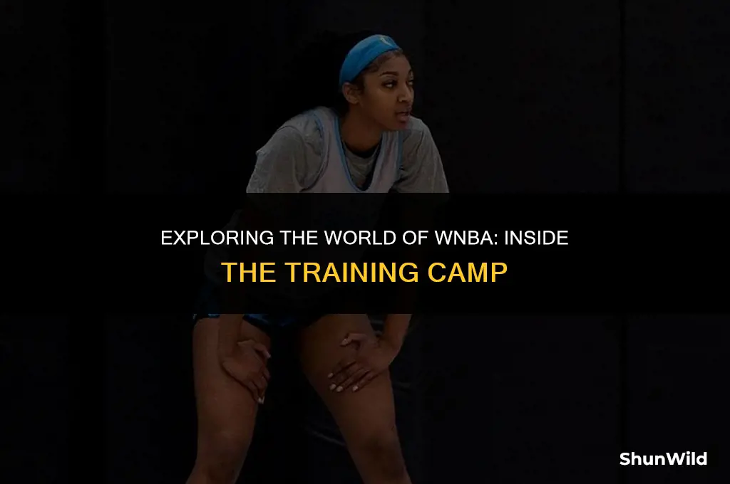 what is wnba training camp