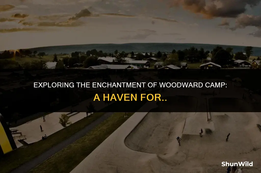 what is woodward camp