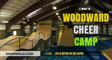 Unleashing Potential: The Transformative Experience of Woodward Cheer Camp