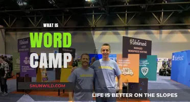 Exploring the World of WordPress: What is WordCamp?