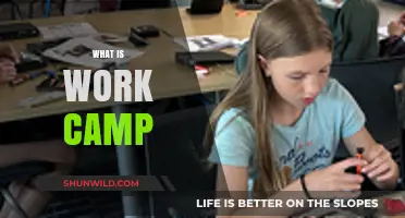 Exploring the Concept of Work Camps: A Comprehensive Guide