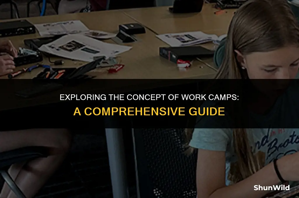 what is work camp