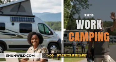 Exploring the Great Outdoors: A Beginner's Guide to Work Camping