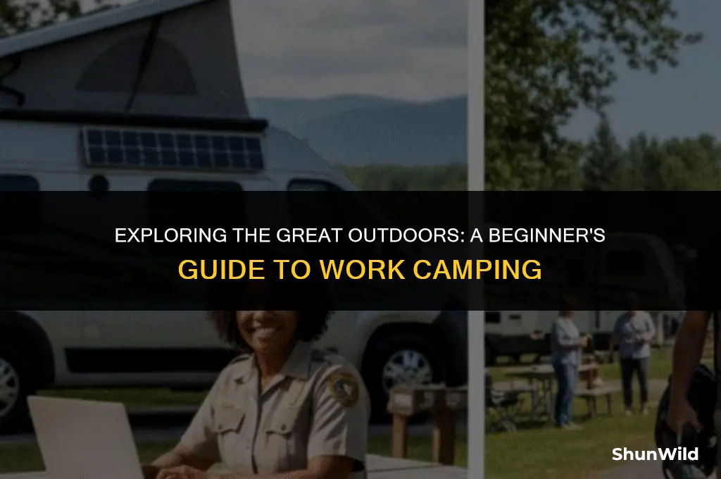 what is work camping