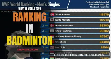 Badminton World Tour Rankings: How They Work