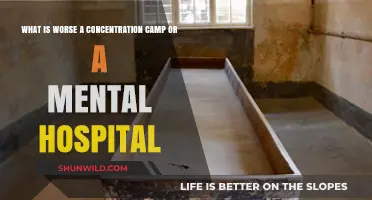 Comparing Horrors: Concentration Camps vs. Mental Hospitals—Which is Worse?