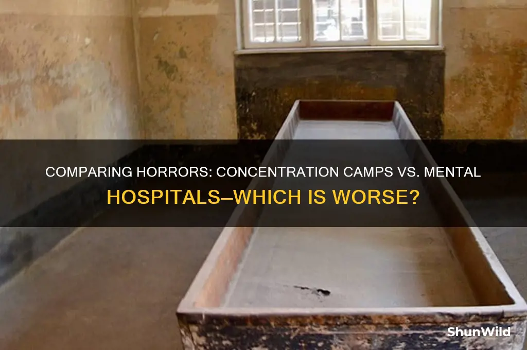 what is worse a concentration camp or a mental hospital