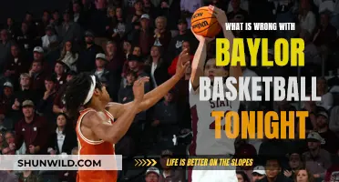 Baylor Basketball: What Went Wrong Tonight?