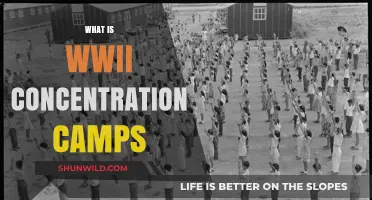 Understanding WWII Concentration Camps: History, Atrocities, and Legacy