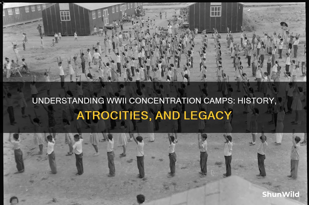 what is wwii concentration camps