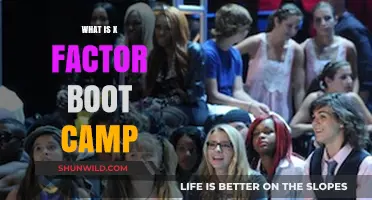 Unveiling the X Factor Boot Camp: A Comprehensive Guide to the Process