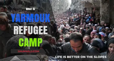 Unveiling the Resilience: Life in Yarmouk Refugee Camp