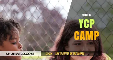 Exploring the Thrills and Skills of YCP Summer Camp