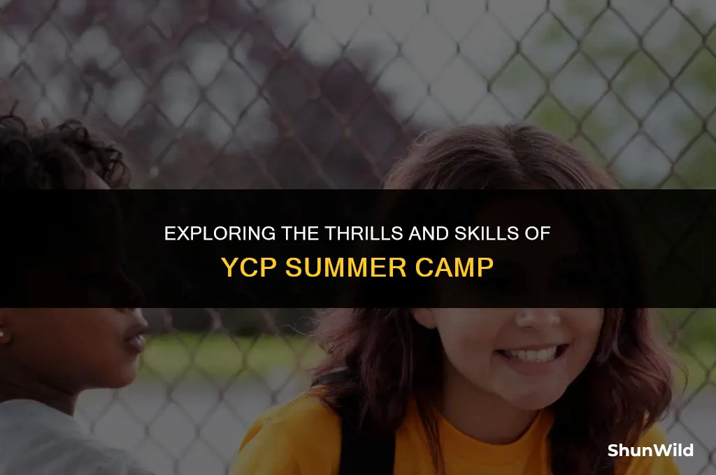 what is ycp camp