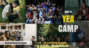 Exploring the Yea Camp: A Comprehensive Guide to Its Meaning and Impact