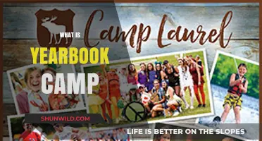 Exploring Yearbook Camp: A Creative Journey for High School Students