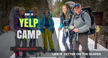 Unveiling Yelp Camp: Your Ultimate Guide to Local Business Success