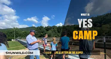 Exploring the Affirmative: What Is Yes Camp?