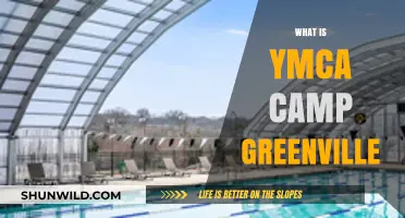 Discover the Magic: YMCA Camp Greenville's Summer Adventures