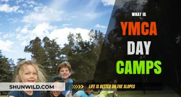Exploring YMCA Day Camps: Fun, Learning, and Adventure for Kids
