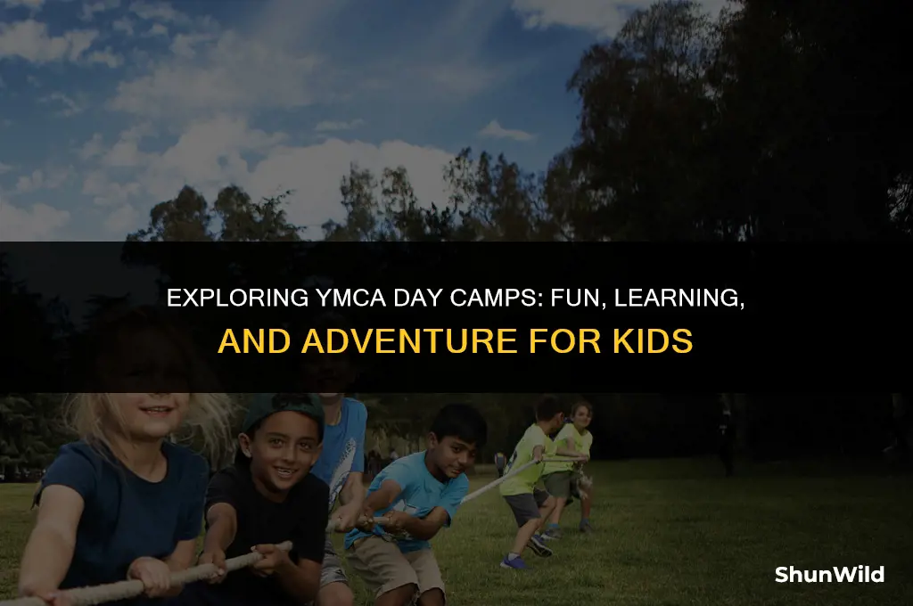 what is ymca day camps