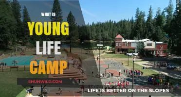 Discover the Adventure: What is Young Life Camp?
