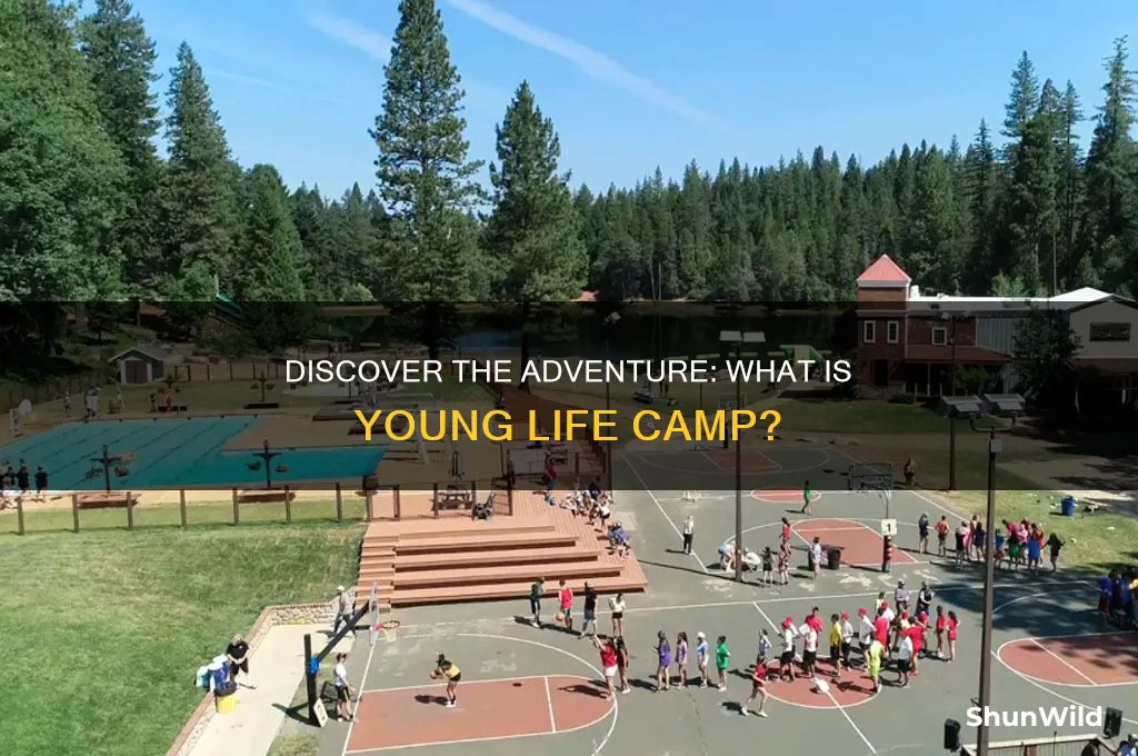 what is young life camp