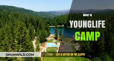 Exploring Young Life Camp: A Journey of Faith and Friendship
