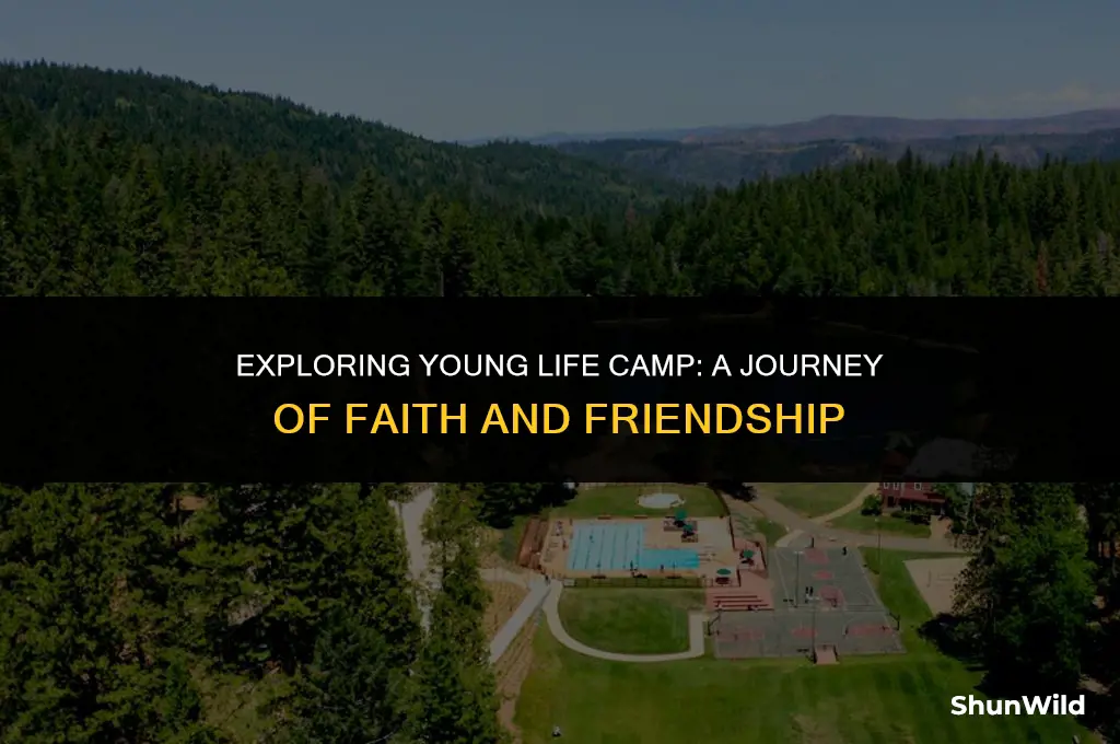 what is younglife camp