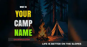 Discover Your Camp Name: A Guide to Choosing the Perfect Identity