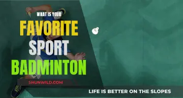 Badminton: My Favorite Sport Explained