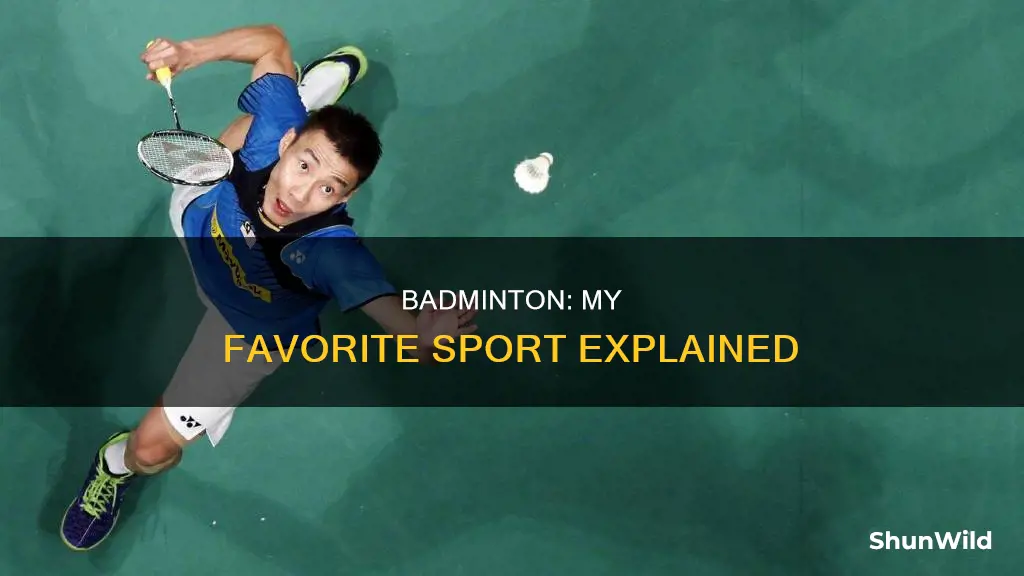 what is your favorite sport badminton