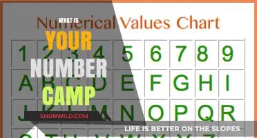 Exploring the Significance of Your Number Camp: A Journey into Numerology